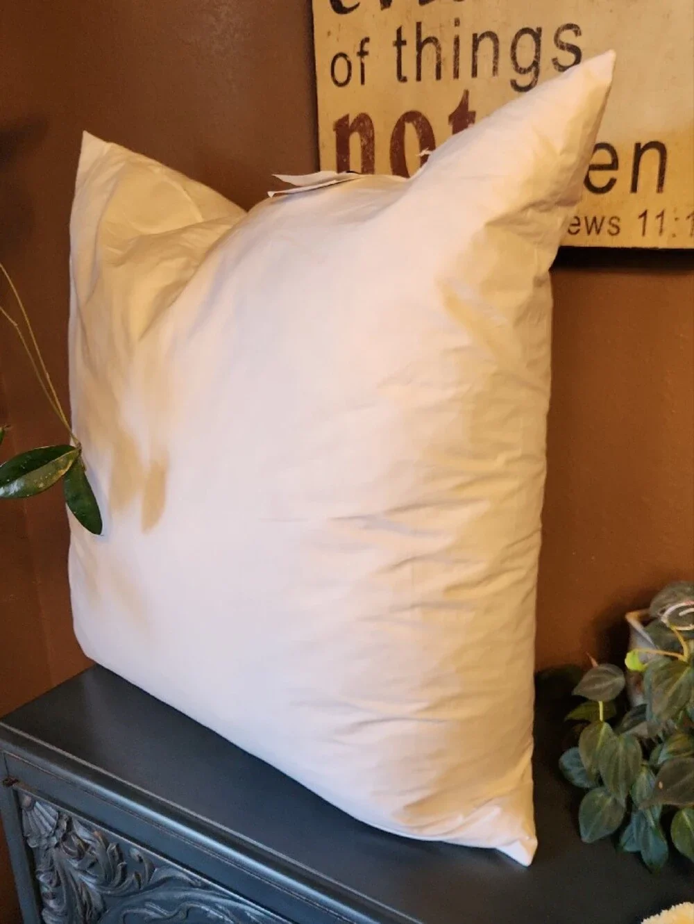 Quince Euro Feather Pillow Insert NWOT